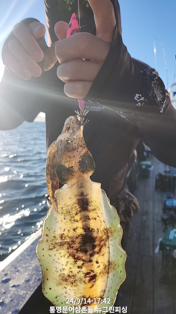 사용자가 올린 이미지