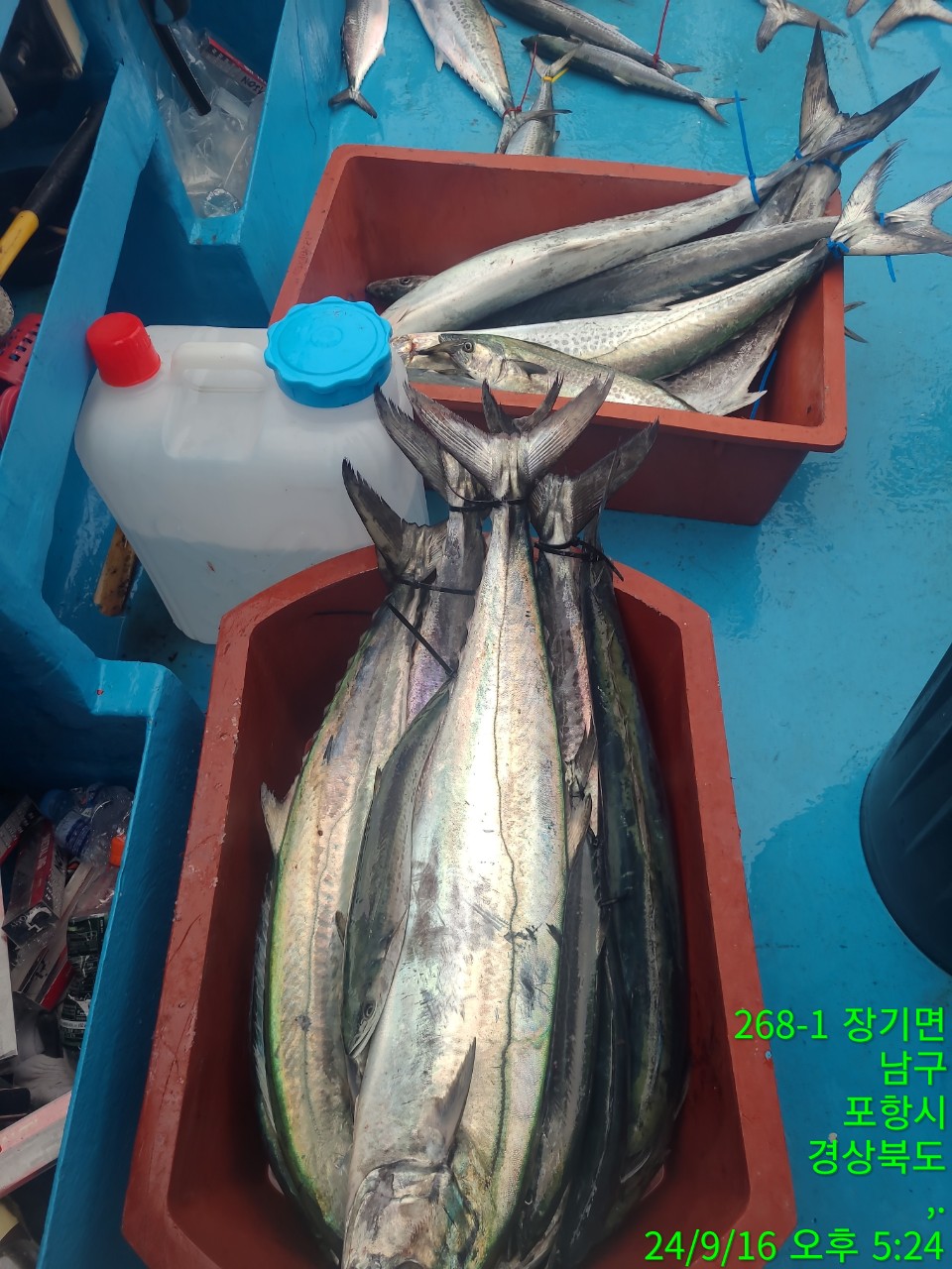 4_93bUd018svc127j7dpiuaivy_9bt2m0.jpg