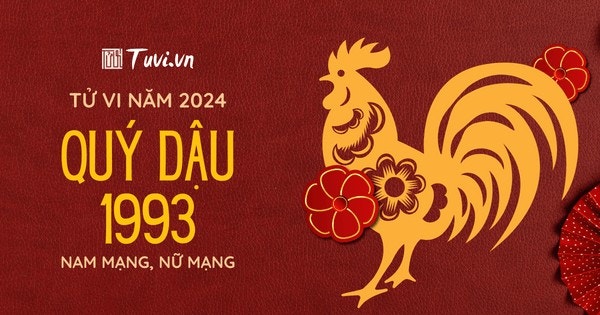 8. Các Lời Khuyên và Kế Hoạch Cần Thực Hiện Trong Năm 2024