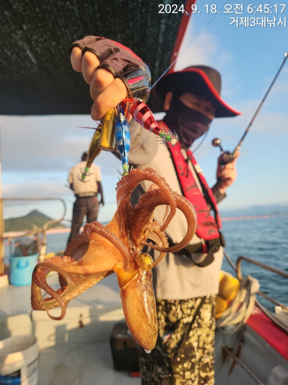 사용자가 올린 이미지