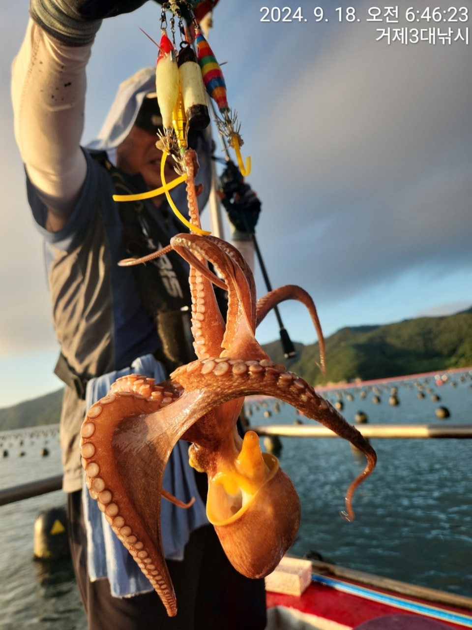 사용자가 올린 이미지