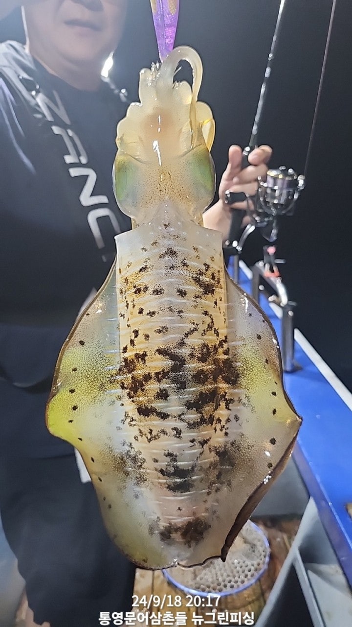 사용자가 올린 이미지