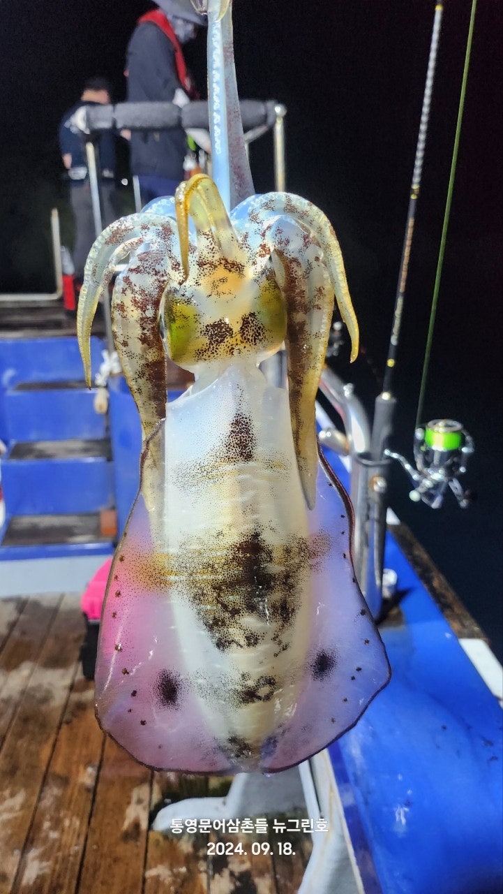 사용자가 올린 이미지