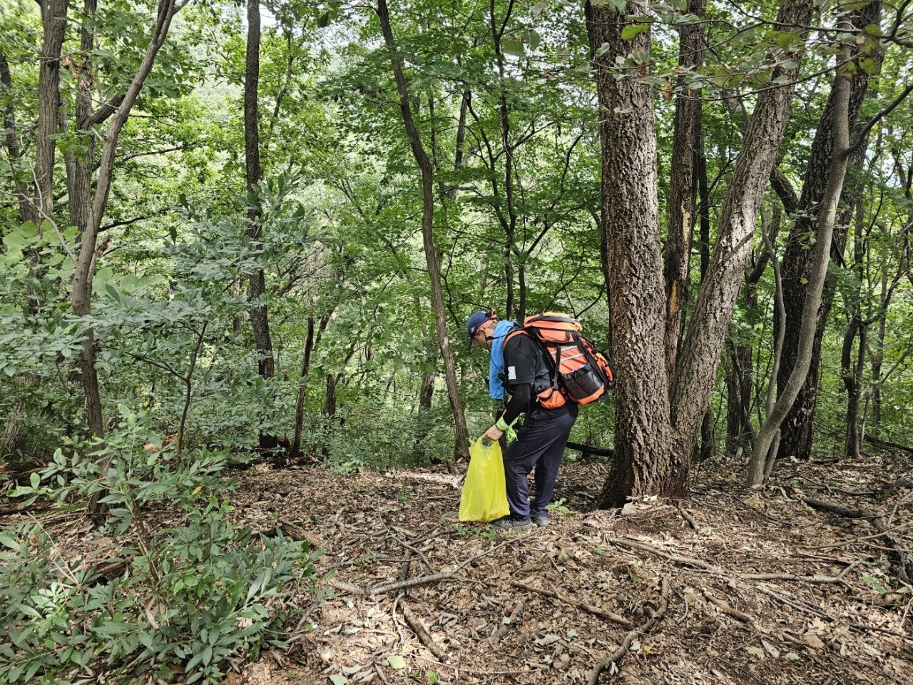사용자가 올린 이미지