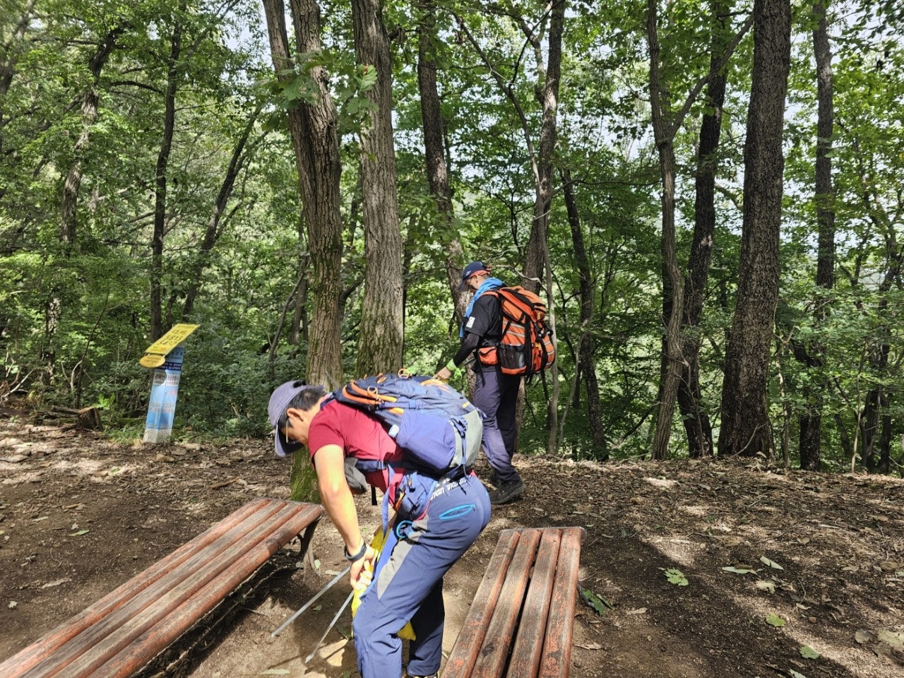 사용자가 올린 이미지