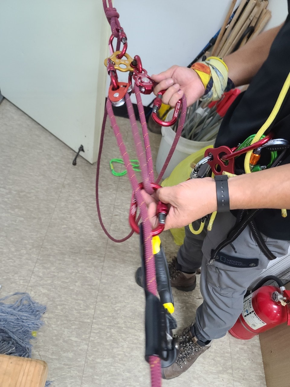 사용자가 올린 이미지