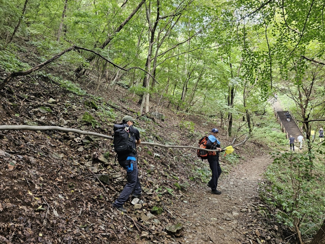 사용자가 올린 이미지