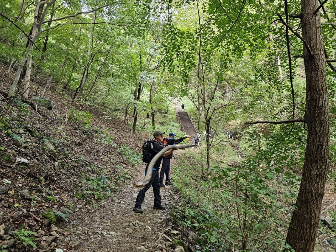 사용자가 올린 이미지