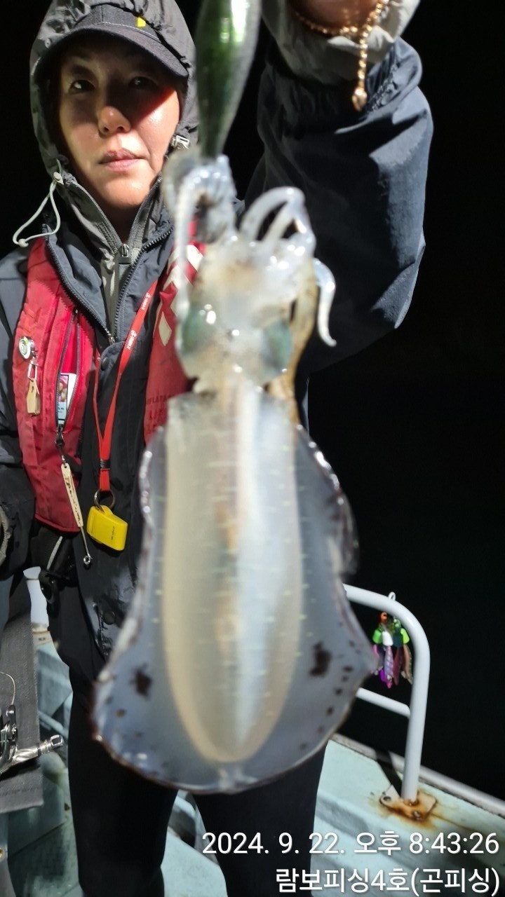 사용자가 올린 이미지