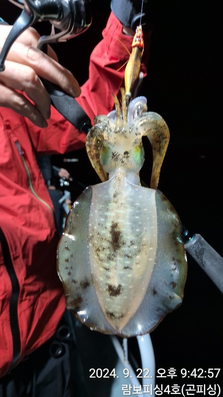 사용자가 올린 이미지