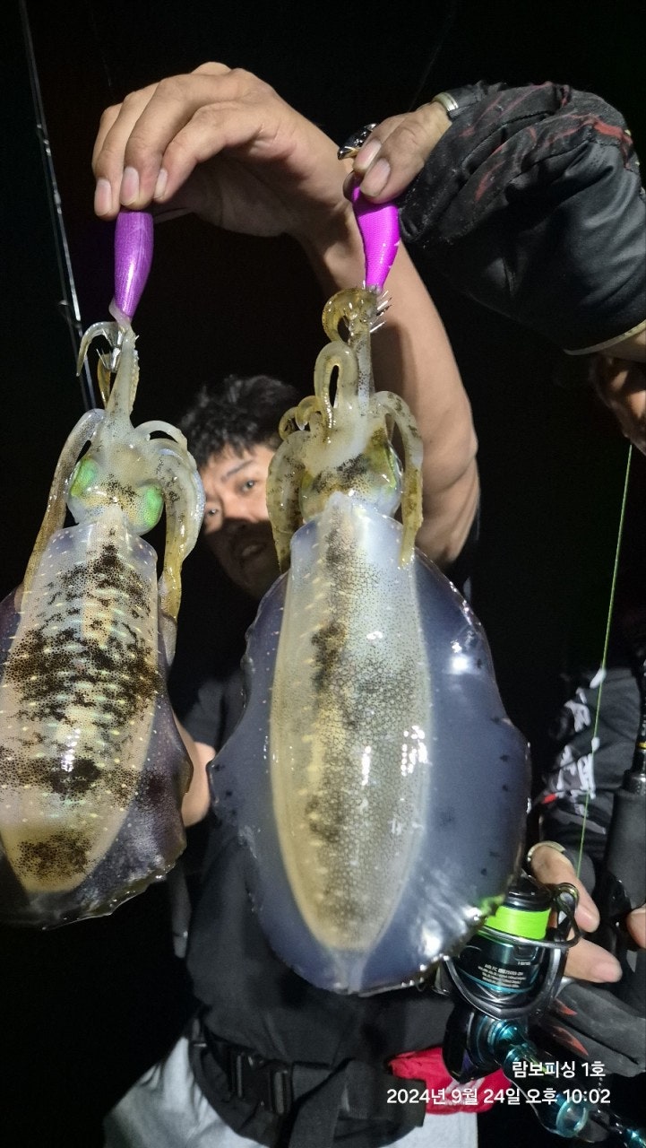 사용자가 올린 이미지