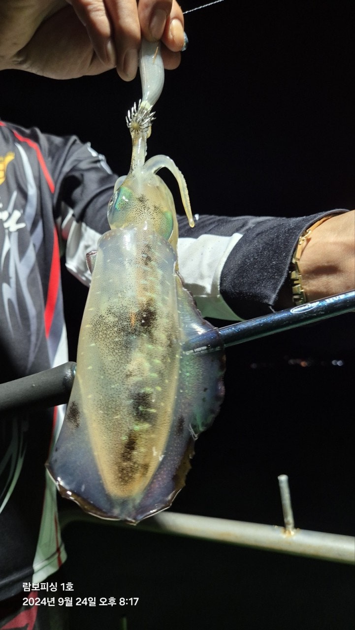 사용자가 올린 이미지