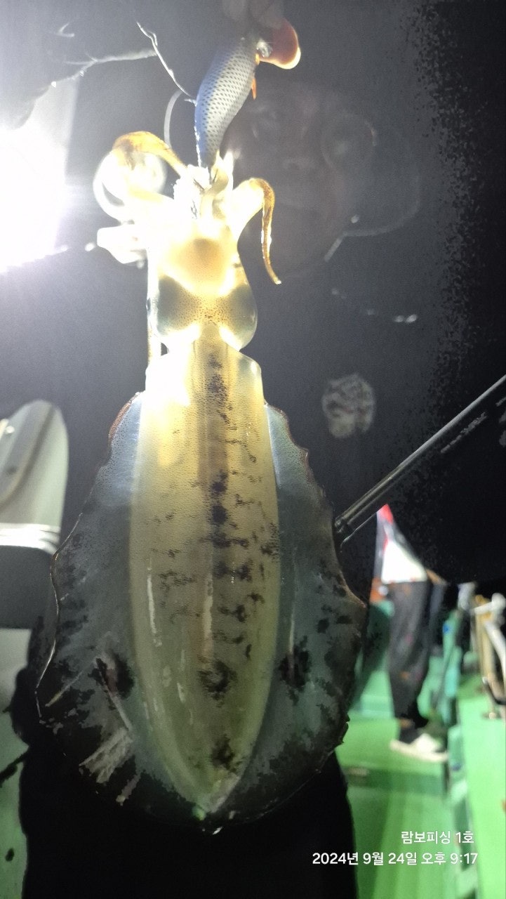 사용자가 올린 이미지