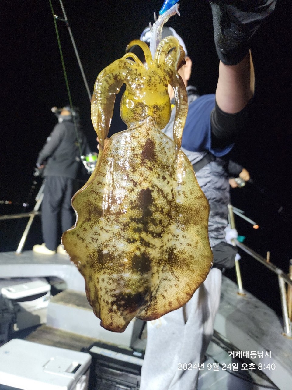 사용자가 올린 이미지