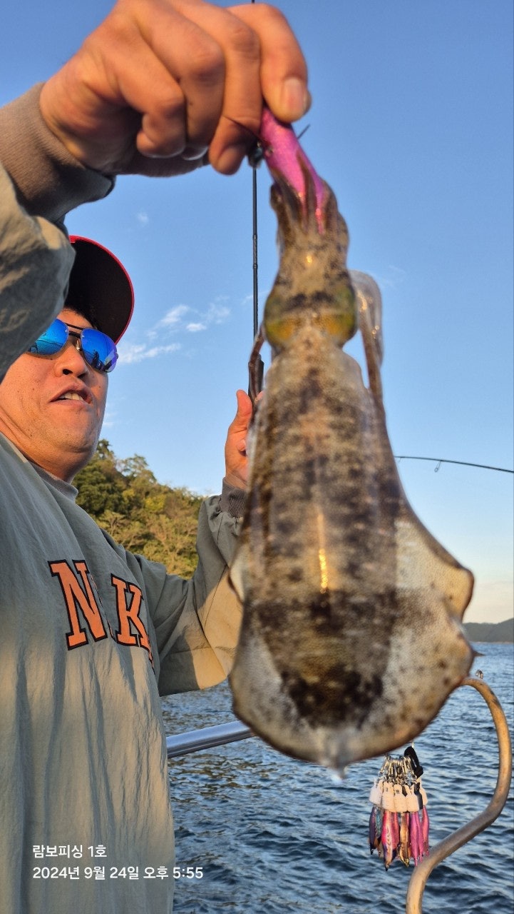 사용자가 올린 이미지