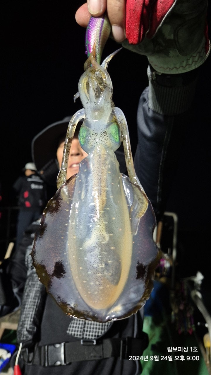 사용자가 올린 이미지