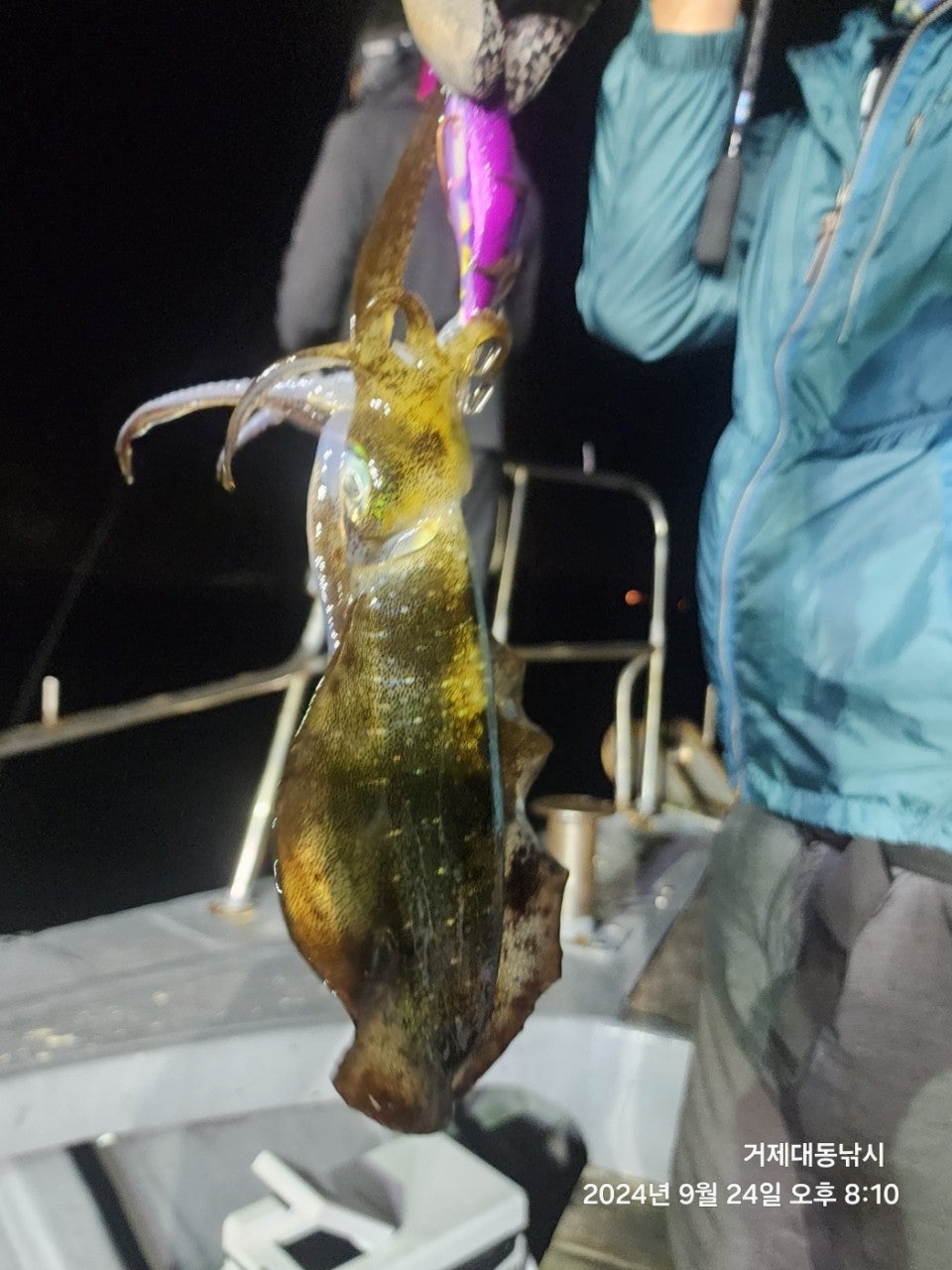 사용자가 올린 이미지