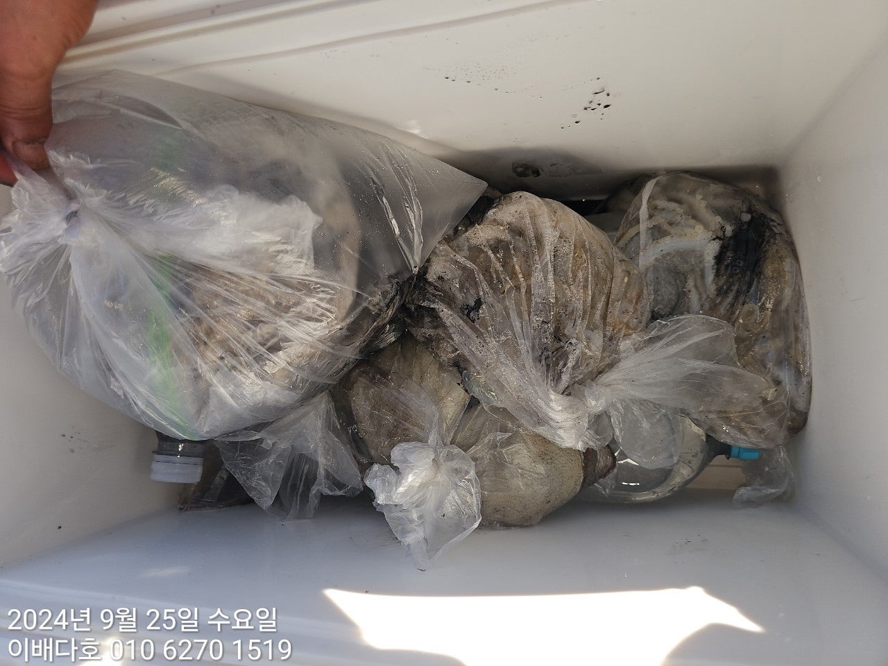 사용자가 올린 이미지