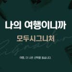 디스코포차 이미지
