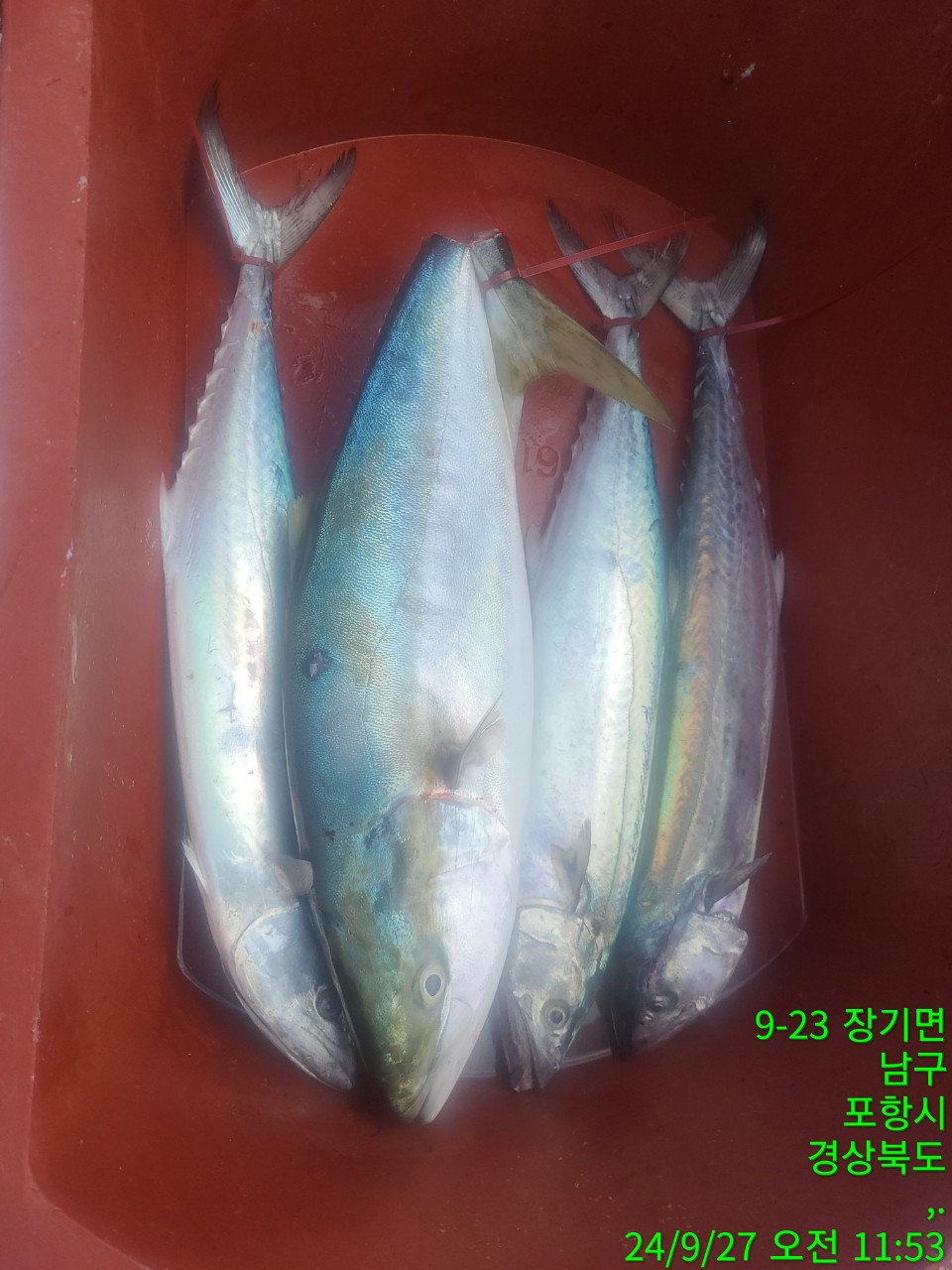 d_8ebUd018svc82bbt345khem_9bt2m0.jpg