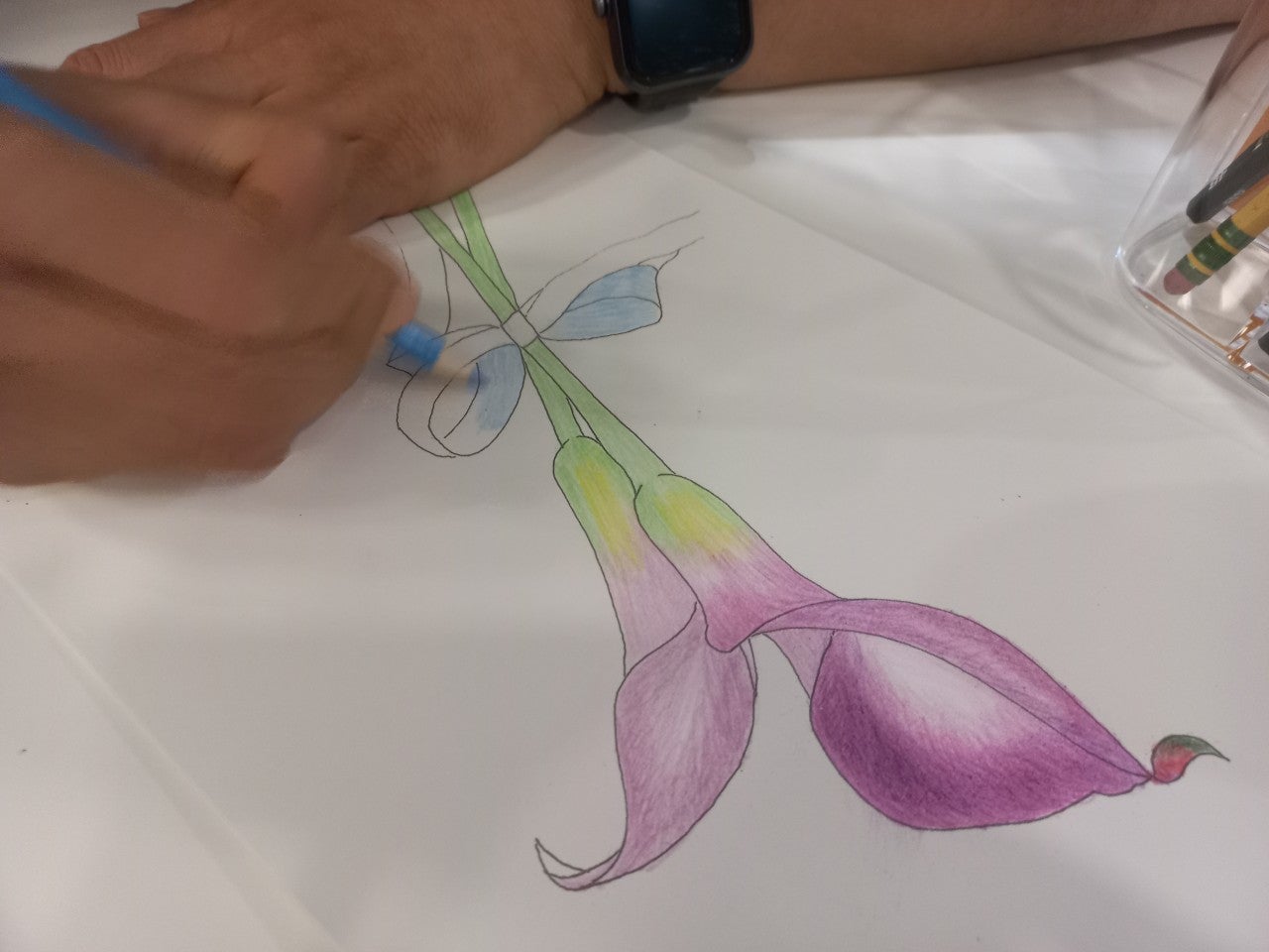 사용자가 올린 이미지