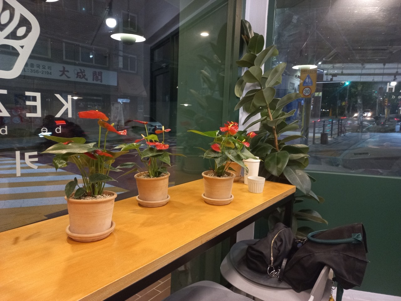 사용자가 올린 이미지