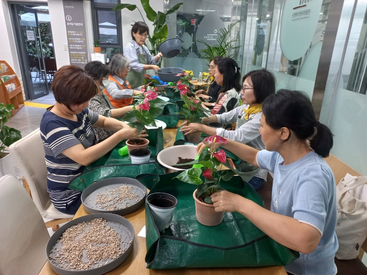 사용자가 올린 이미지