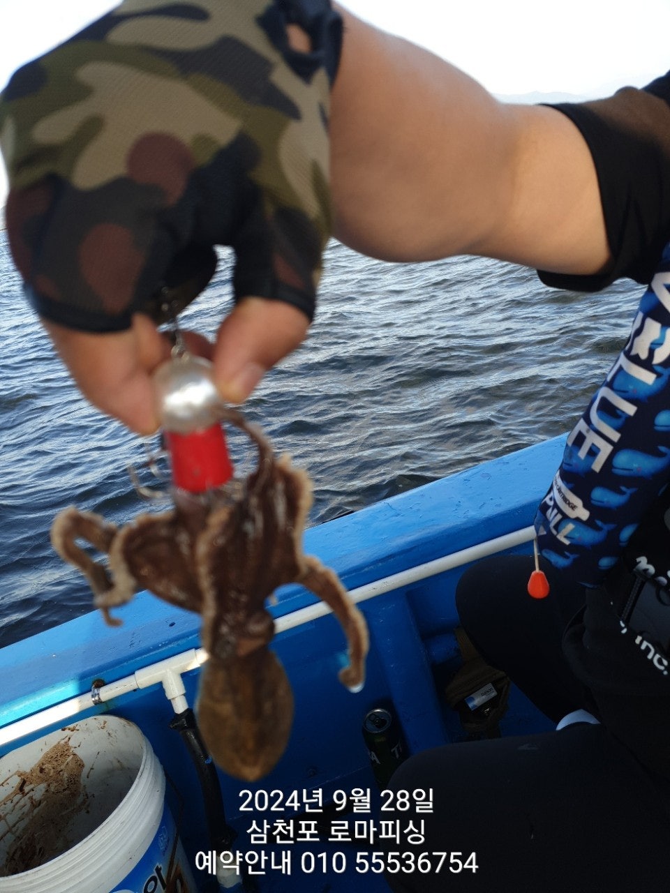 사용자가 올린 이미지