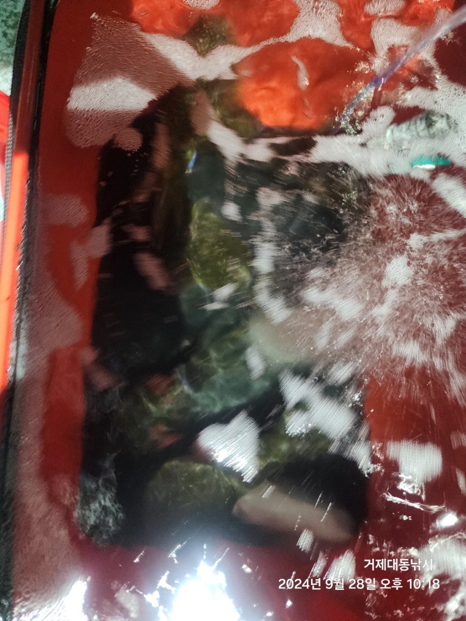 사용자가 올린 이미지