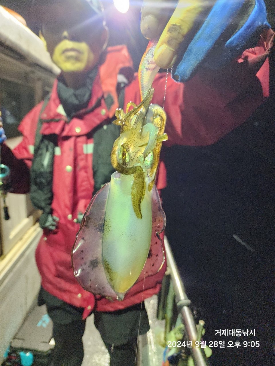 사용자가 올린 이미지