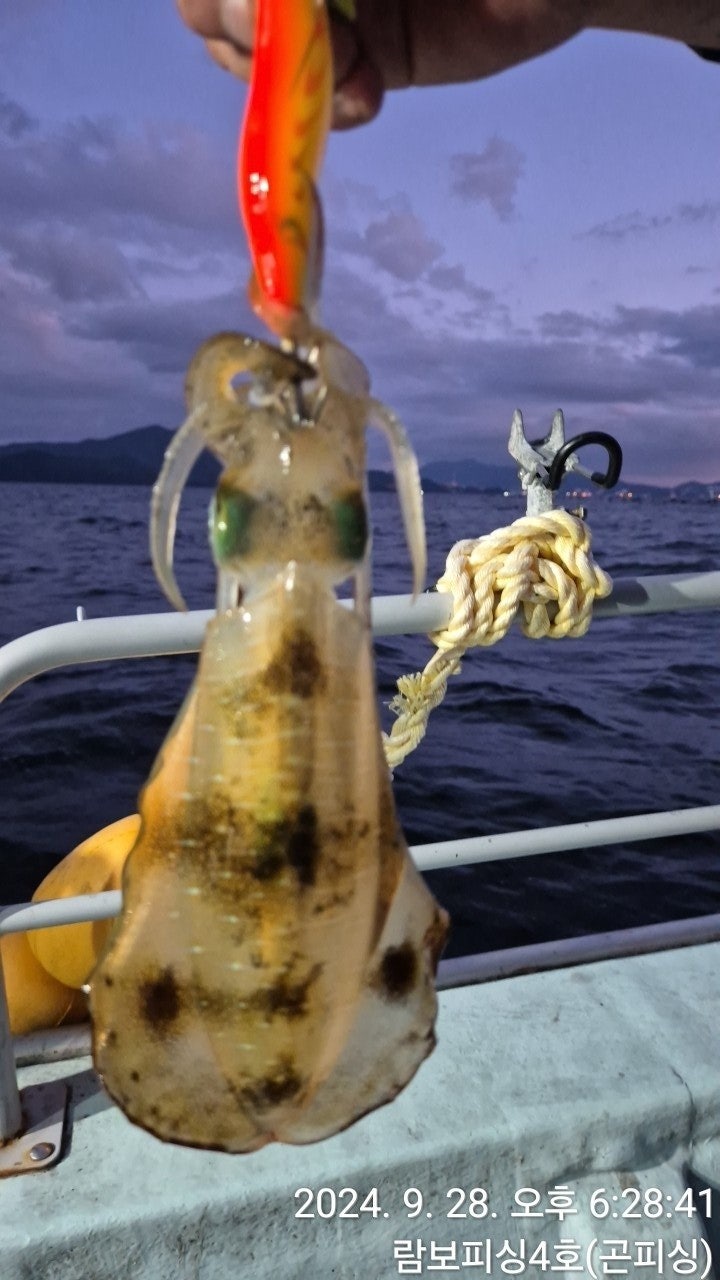 사용자가 올린 이미지