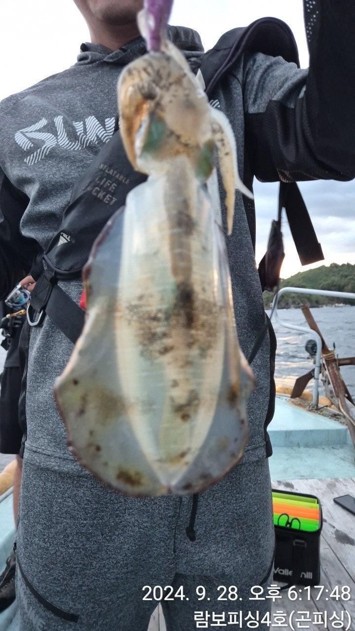 사용자가 올린 이미지