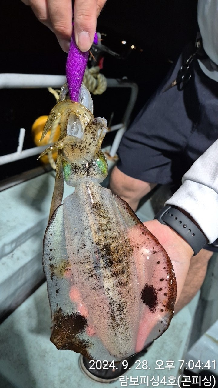 사용자가 올린 이미지