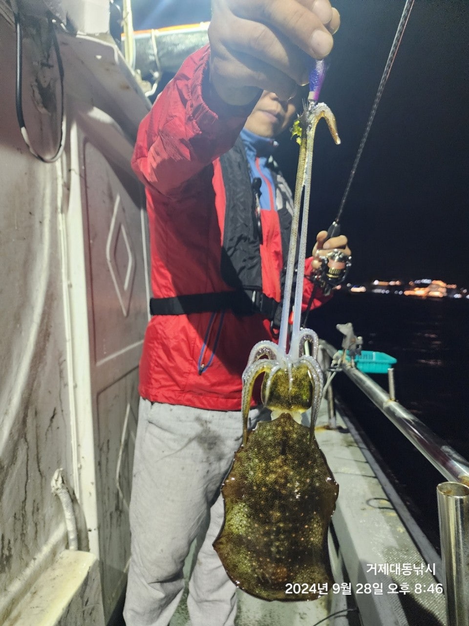 사용자가 올린 이미지