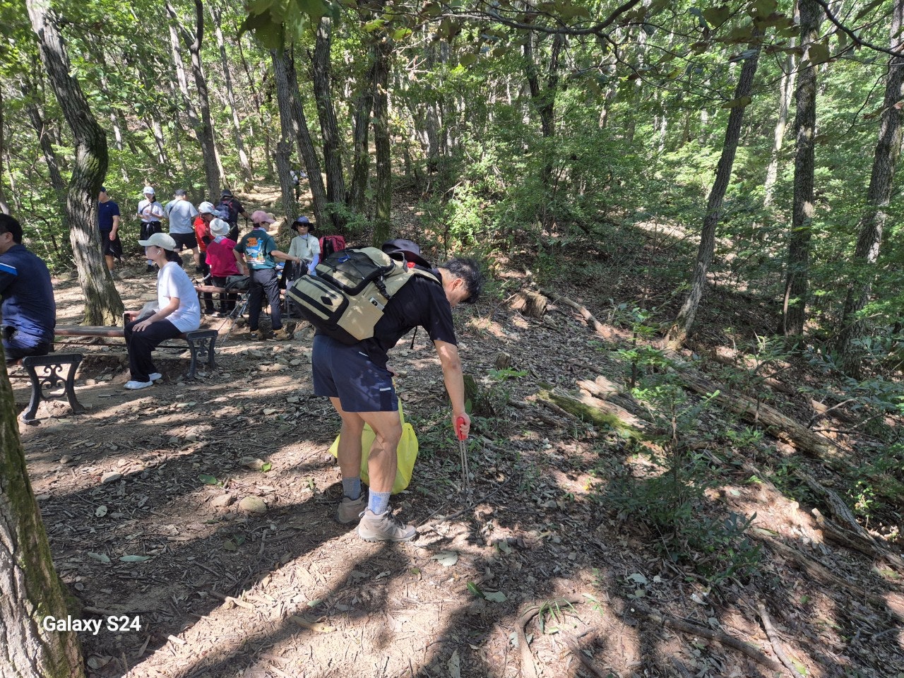 사용자가 올린 이미지