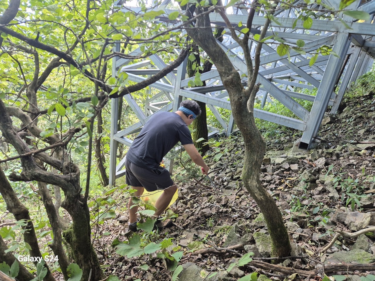 사용자가 올린 이미지