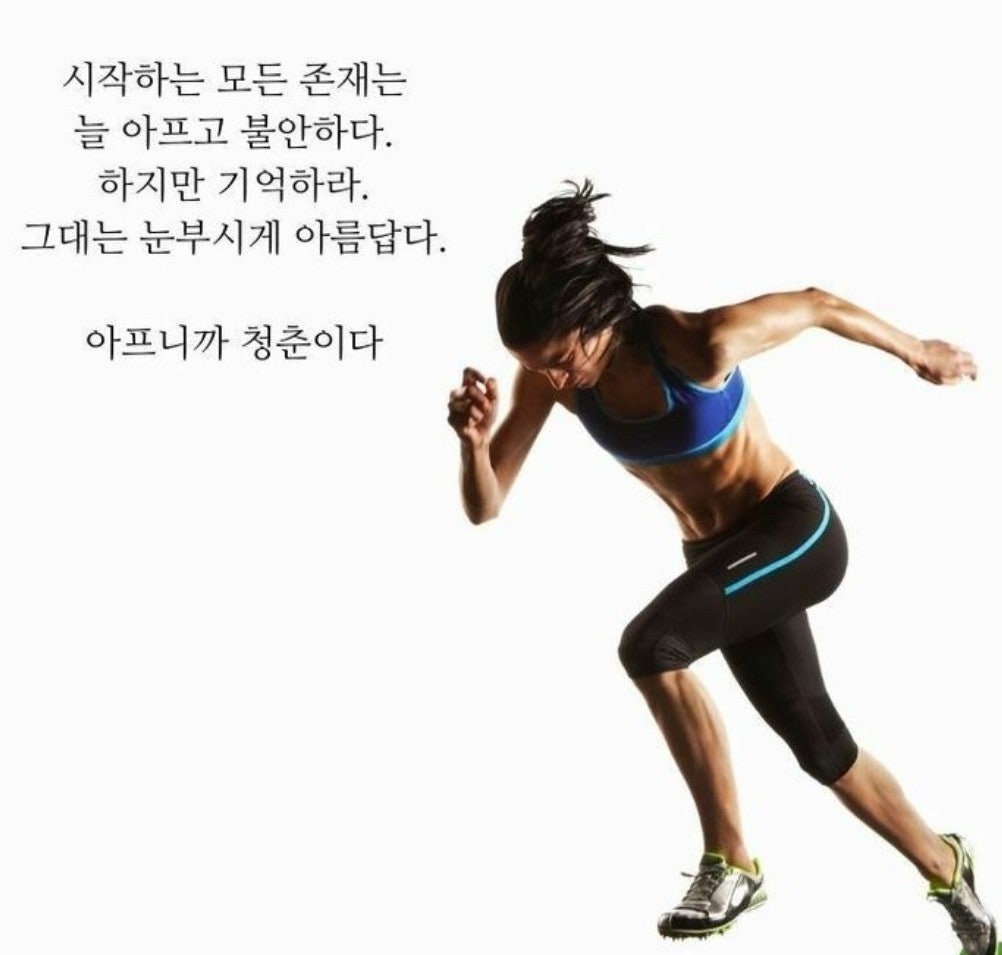 사용자가 올린 이미지