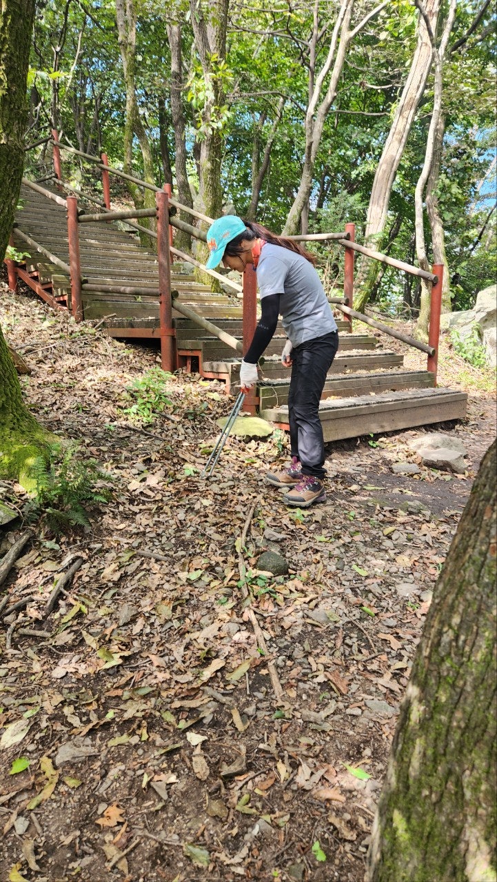 사용자가 올린 이미지