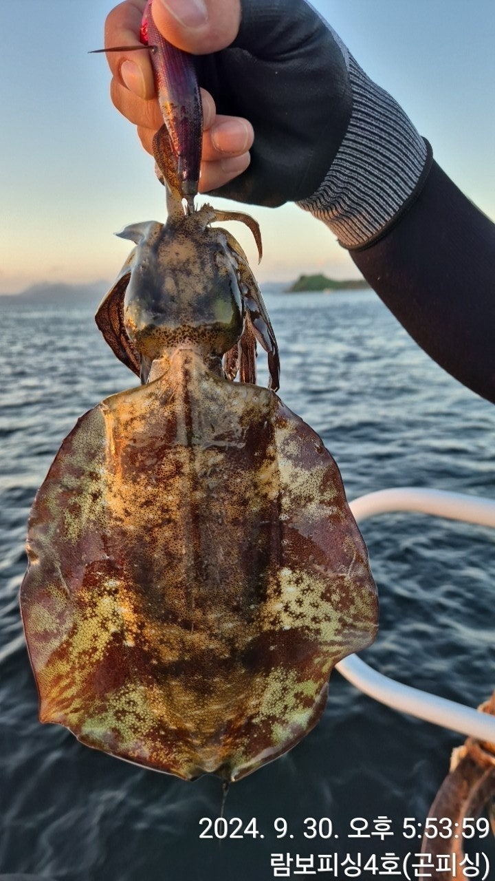 사용자가 올린 이미지