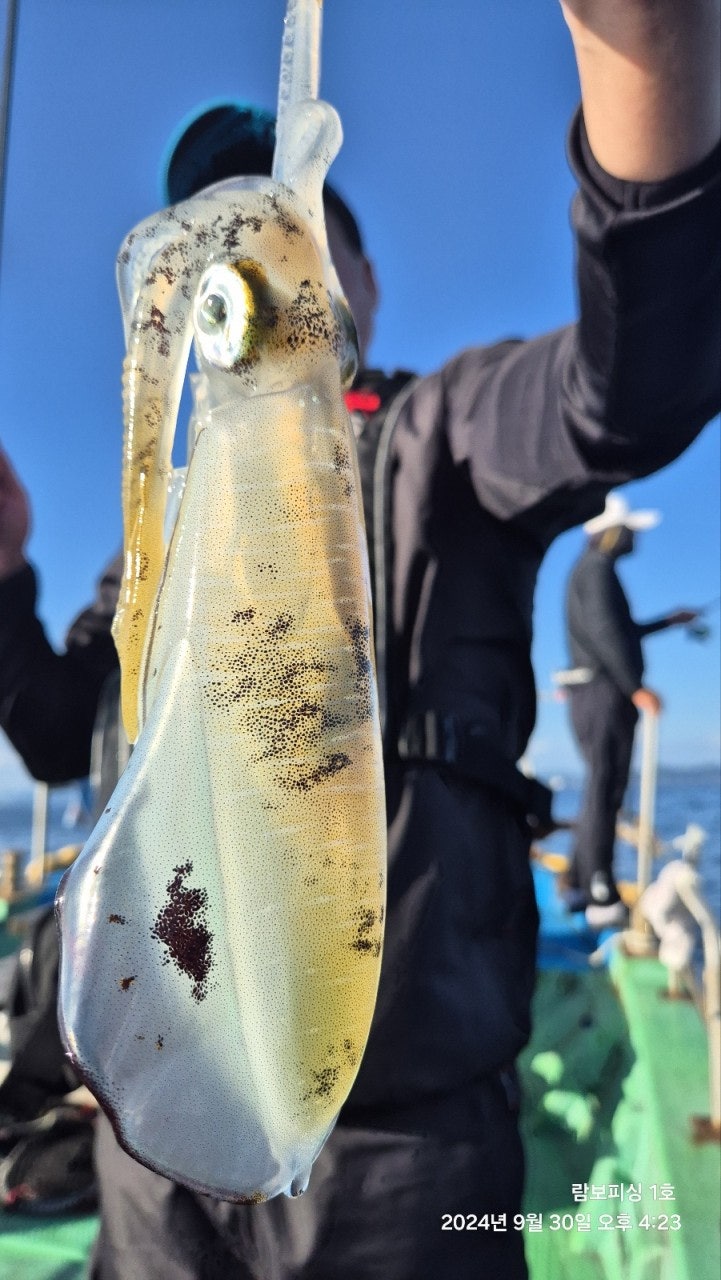 사용자가 올린 이미지