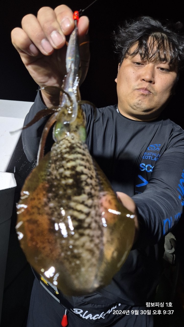 사용자가 올린 이미지