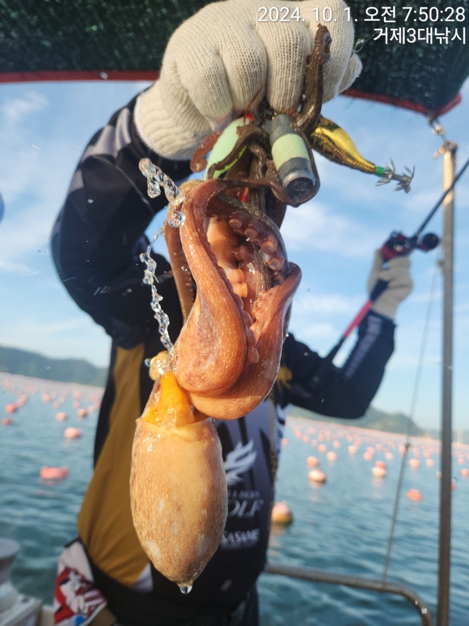 사용자가 올린 이미지