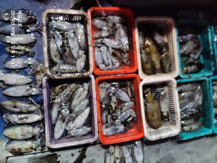 사용자가 올린 이미지