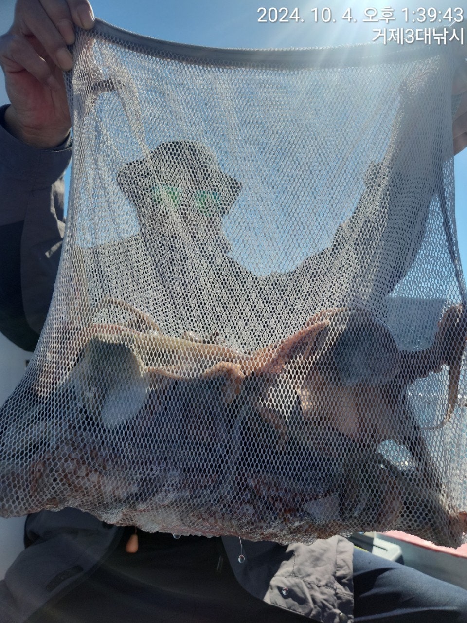 사용자가 올린 이미지