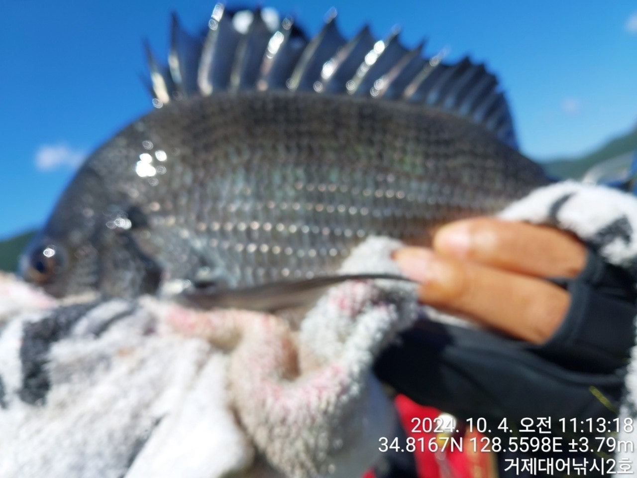 사용자가 올린 이미지