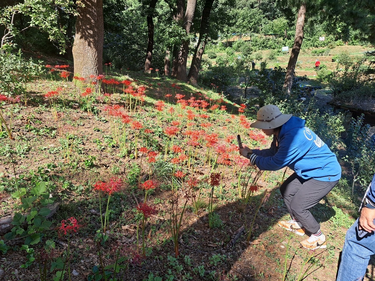 사용자가 올린 이미지