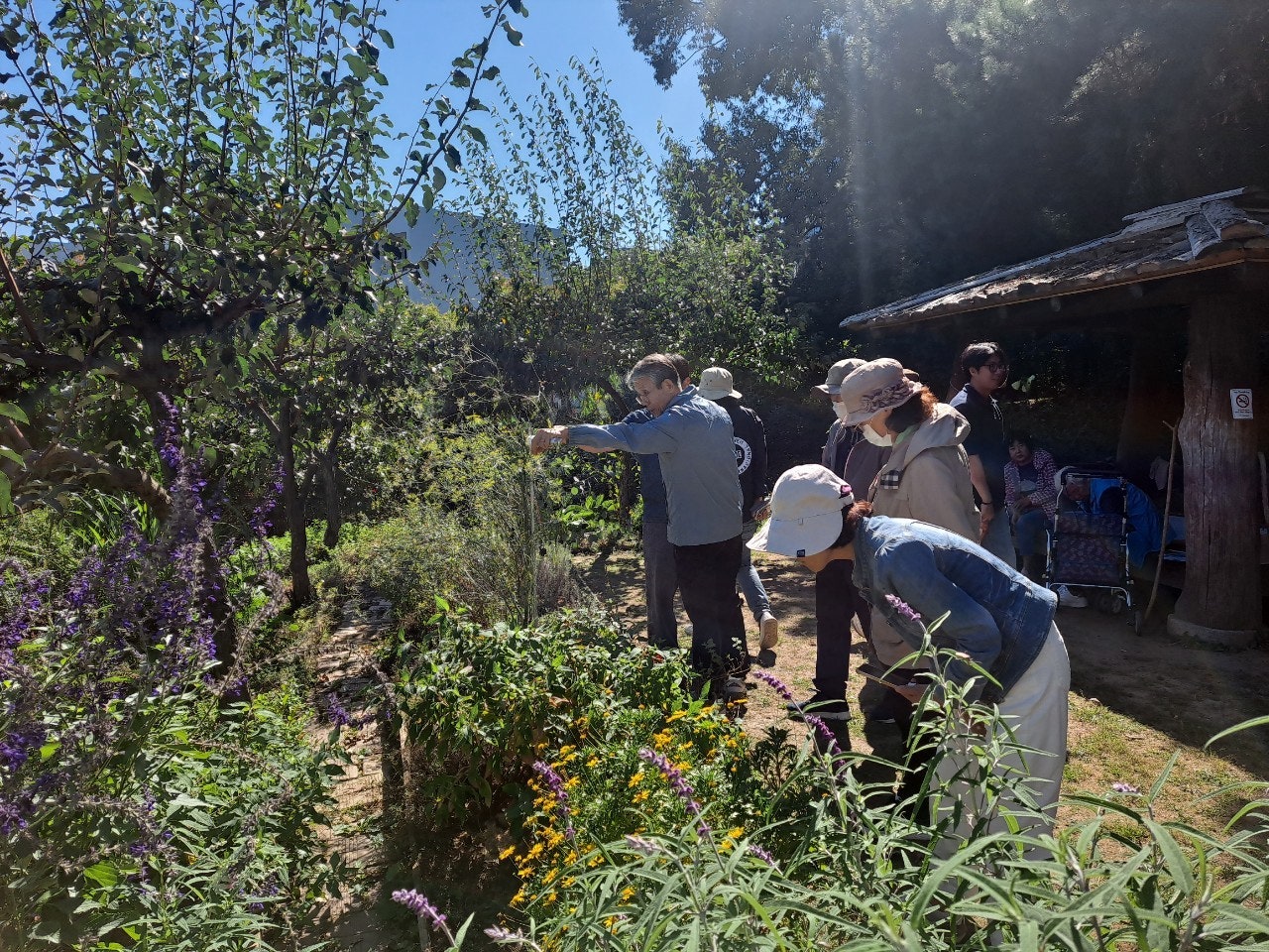 사용자가 올린 이미지