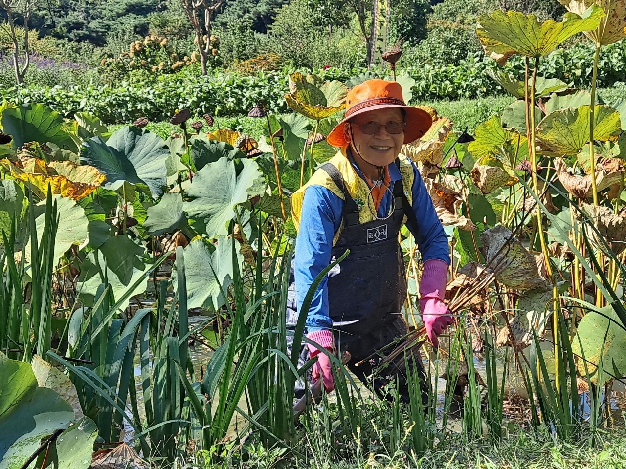 사용자가 올린 이미지