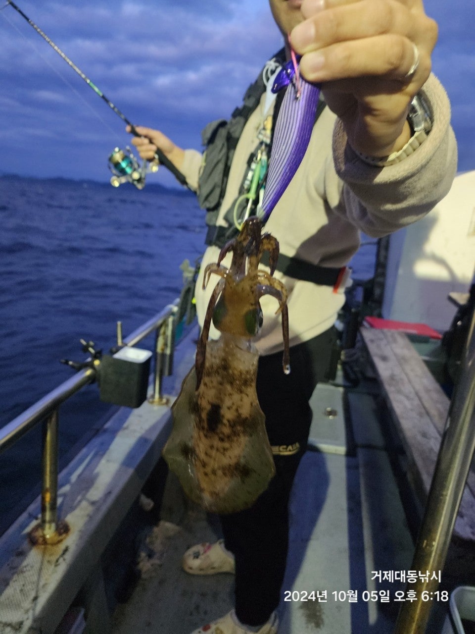 사용자가 올린 이미지