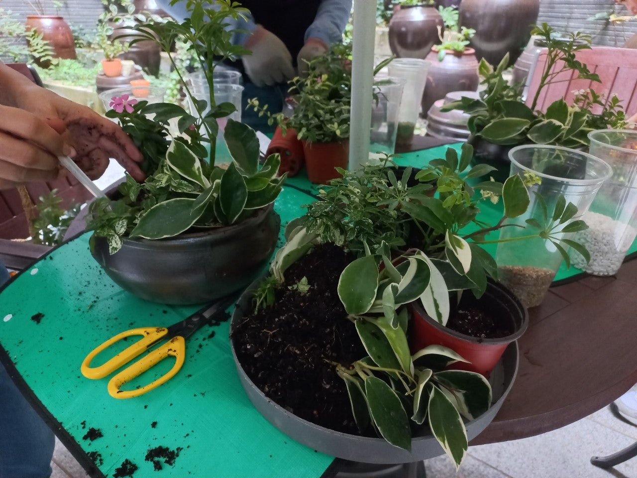 사용자가 올린 이미지